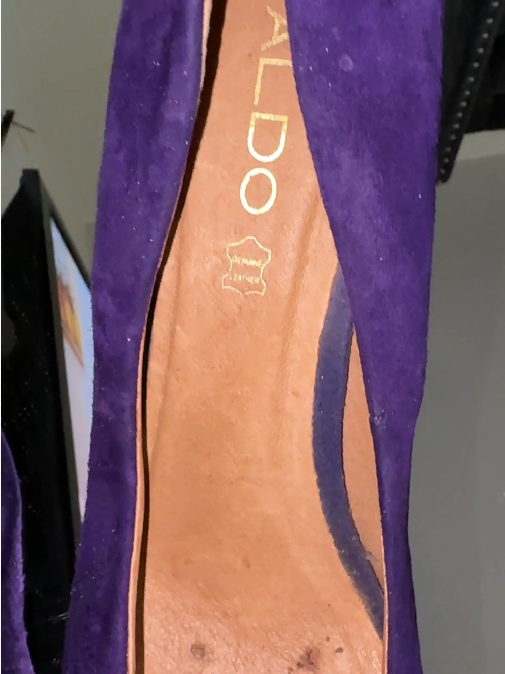 Aldo Violet Suede Women's Pointed Pump